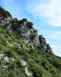 ɽ���ϵķ绯ʯ