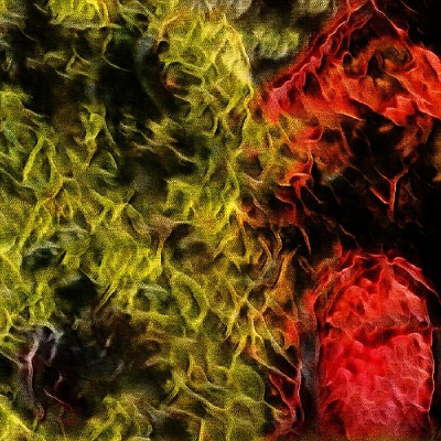 ���ҳ����Լװ�λ����ͻ�