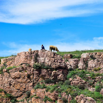 �����ϵķ�����