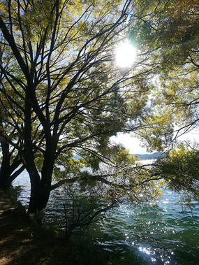 ���ϵ�����