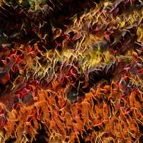 ��ŷ��Լʱ���ͻ�װ�λ�