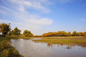 ����ɺ����� ����һ����