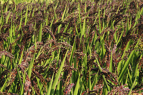 �������