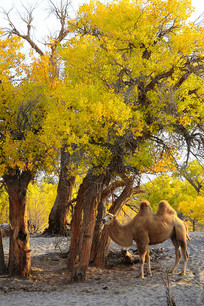 ���������������