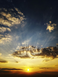 ��ɫ��â����