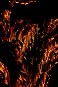 �Ų����л��汳��ͼƬ