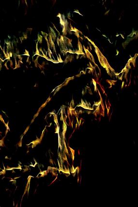 ����������ͱ���ͼƬ