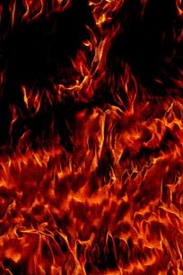 ���ⱬ���ֻ�����ͼƬ