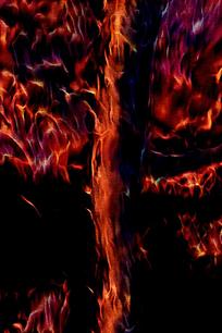 ʱ����������ڻ�����