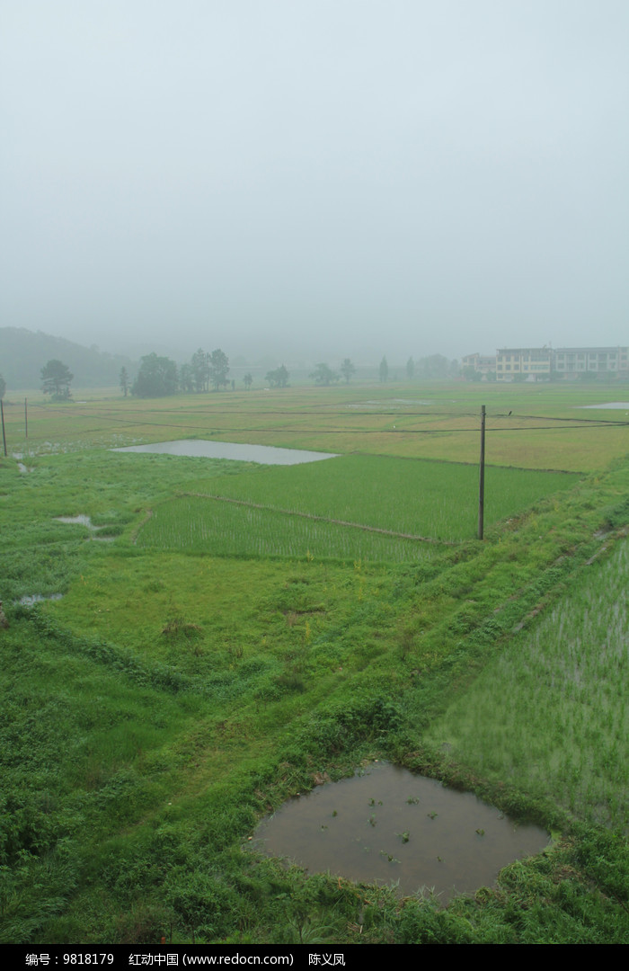 下雨天的田野