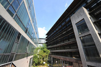 ��ɽ��Ժ�칫¥�ṹͼ