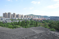 ��ɽ��Ժȫ��