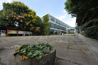 ��ɽ��ԺԶ��