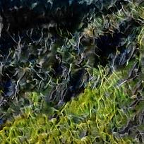 ŷװͻ