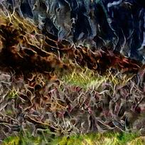 �����ڻ�����Ʊ���