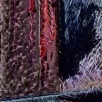 ͻ