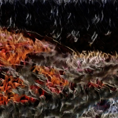 ���������Ʊ���