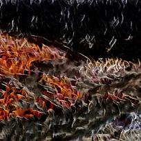 ���������Ʊ���