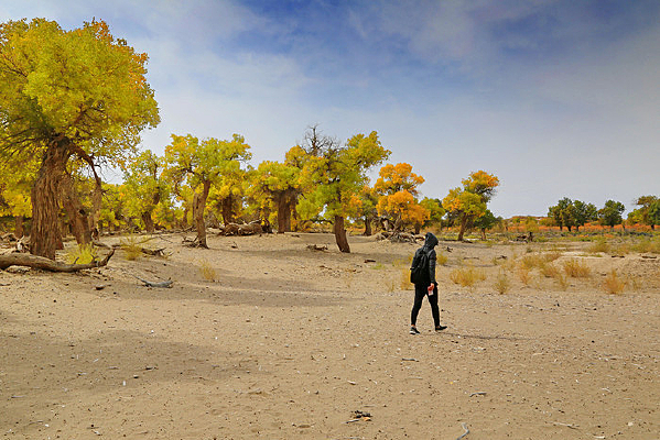 ����ɺ����� 