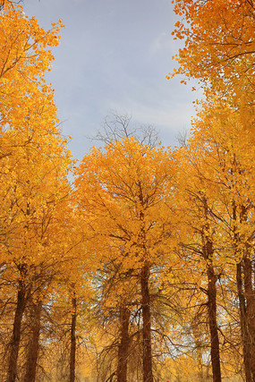 ����ɺ����ֽ�������