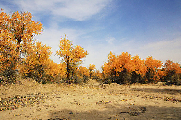 ������ߵ��ź�������