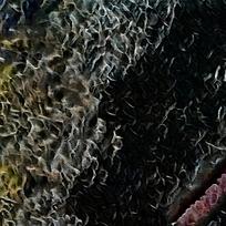 ͻ