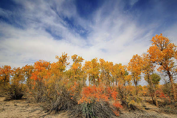 �������ֺ�ɳ��