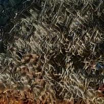 ֽ