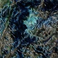 �ſ�������͵��Ʊ���