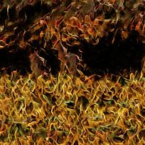 �ſ�ʱ��ȼ�ջ������