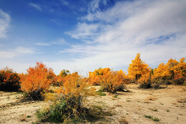 �����µĺ�ɫɳ��