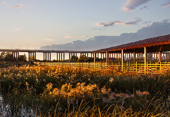 ����ʪ��