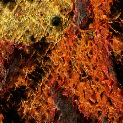 �λó�������ͻ�����