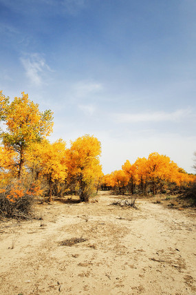 ɳ���ϵĽ�ɫ������