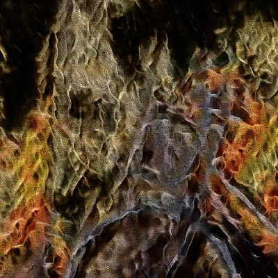 ʱ�д������ͼƬ��ֽ