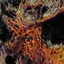 Ψ��������������ͻ�