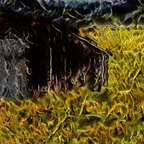 Ψ����������ͻ�����