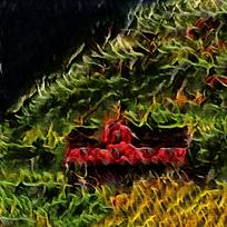 ΨƱֽ