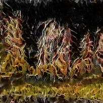 Ψλûֽ