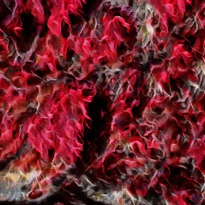 Ψ���λû�����������