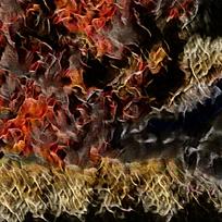 Ψ��������������ز�