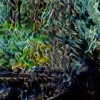 Ѥ�����Ż�����Ʊ���