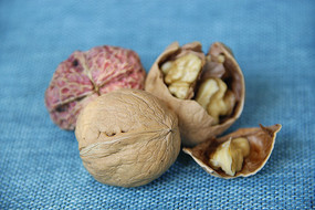 Ӫ������