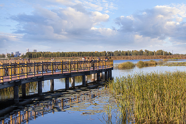 ջ��ʪ�ط��