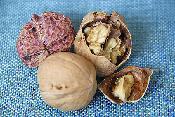 ��Ƥ����