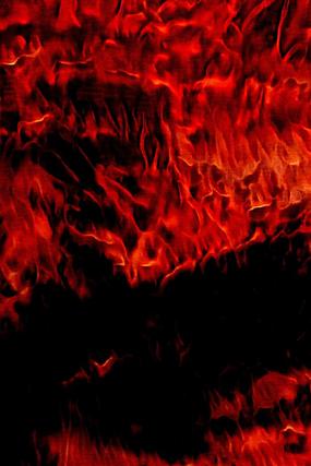 �����𺣴���������