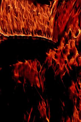 ������Ż���ӡ������