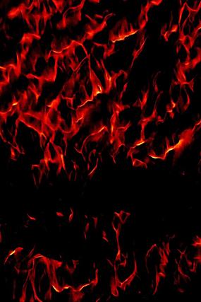 ������������Ʊ���