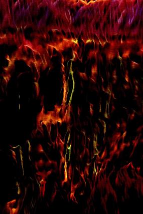 �����趯������Ʊ���