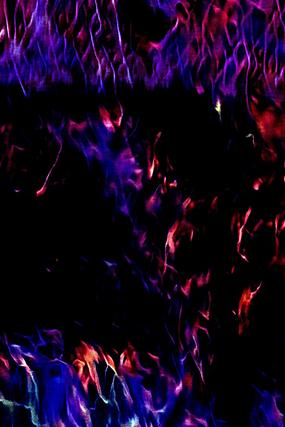 ������ɫ����ӡ������